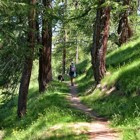 Forsthaus Am Wald Mit Sauna, Garten Und Grill Holiday home